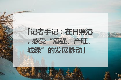 记者手记：在日照港，感受“港强、产旺、城绿”的发展脉动