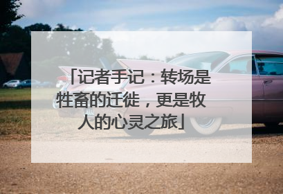 记者手记：转场是牲畜的迁徙，更是牧人的心灵之旅