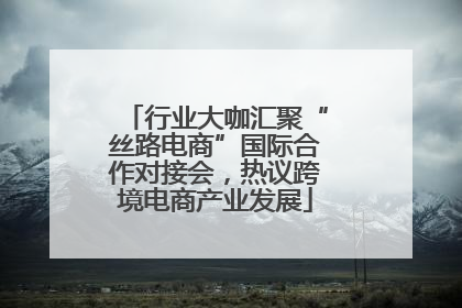 行业大咖汇聚“丝路电商”国际合作对接会，热议跨境电商产业发展