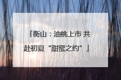 衡山：油桃上市 共赴初夏“甜蜜之约”
