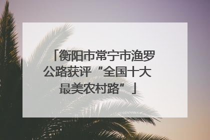 衡阳市常宁市渔罗公路获评“全国十大最美农村路”
