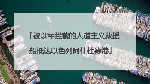 被以军拦截的人道主义救援船抵达以色列阿什杜德港