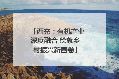 西充：有机产业深度融合 绘就乡村振兴新画卷