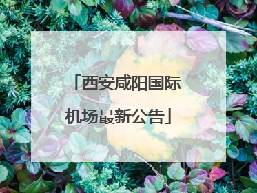 西安咸阳国际机场最新公告