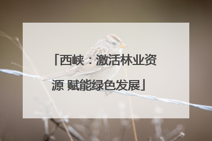西峡：激活林业资源 赋能绿色发展