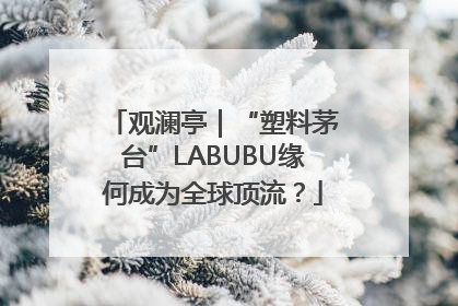 观澜亭｜“塑料茅台”LABUBU缘何成为全球顶流？