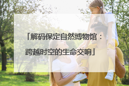 解码保定自然博物馆：跨越时空的生命交响