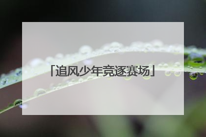 追风少年竞逐赛场