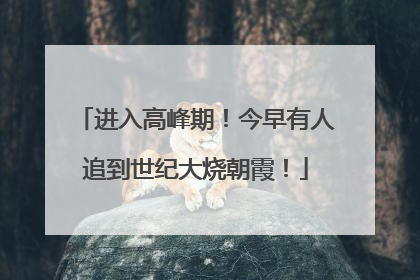 进入高峰期！今早有人追到世纪大烧朝霞！