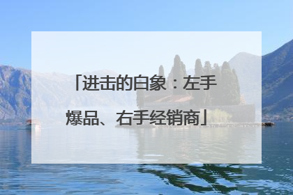 进击的白象：左手爆品、右手经销商