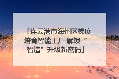 连云港市海州区梯度培育智能工厂 解锁“智造”升级新密码