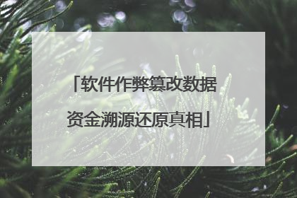 软件作弊篡改数据 资金溯源还原真相