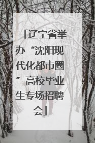 辽宁省举办“沈阳现代化都市圈”高校毕业生专场招聘会
