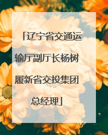 辽宁省交通运输厅副厅长杨树履新省交投集团总经理