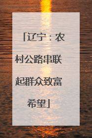辽宁：农村公路串联起群众致富希望