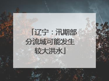 辽宁：汛期部分流域可能发生较大洪水