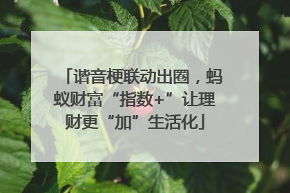 谐音梗联动出圈，蚂蚁财富“指数+”让理财更“加”生活化