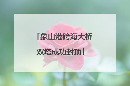 象山港跨海大桥双塔成功封顶