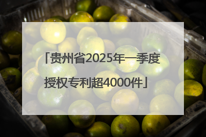 贵州省2025年一季度授权专利超4000件