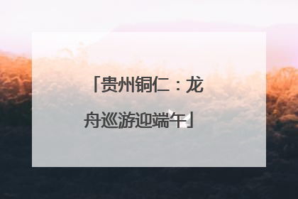 贵州铜仁：龙舟巡游迎端午