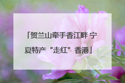 贺兰山牵手香江畔 宁夏特产“走红”香港