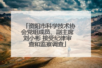 资阳市科学技术协会党组成员、副主席刘小彬 接受纪律审查和监察调查