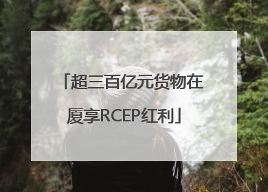 超三百亿元货物在厦享RCEP红利