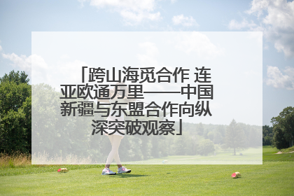 跨山海觅合作 连亚欧通万里——中国新疆与东盟合作向纵深突破观察