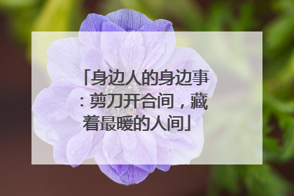 身边人的身边事：剪刀开合间，藏着最暖的人间