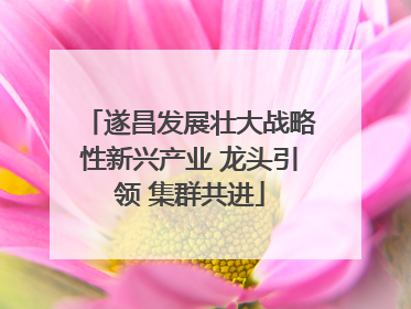 遂昌发展壮大战略性新兴产业 龙头引领 集群共进