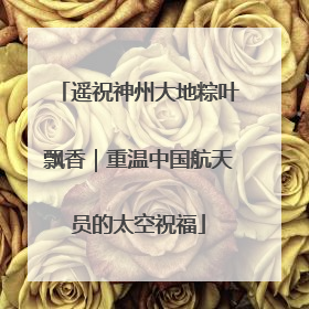遥祝神州大地粽叶飘香｜重温中国航天员的太空祝福