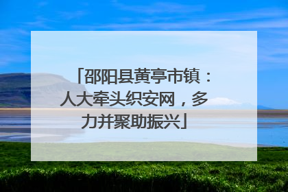 邵阳县黄亭市镇：人大牵头织安网，多力并聚助振兴