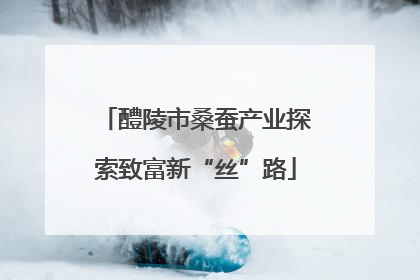 醴陵市桑蚕产业探索致富新“丝”路