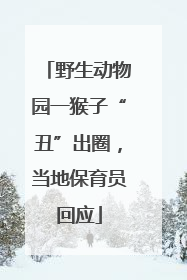 野生动物园一猴子“丑”出圈，当地保育员回应