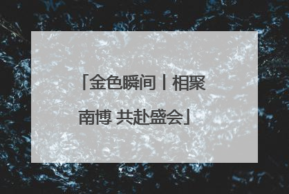 金色瞬间丨相聚南博 共赴盛会