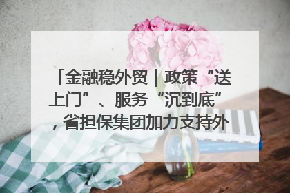 金融稳外贸｜政策“送上门”、服务“沉到底”，省担保集团加力支持外经贸高质量发展