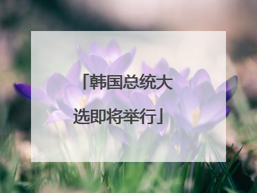 韩国总统大选即将举行