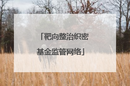 靶向整治织密基金监管网络