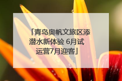 青岛奥帆文旅区添潜水新体验 6月试运营7月迎客