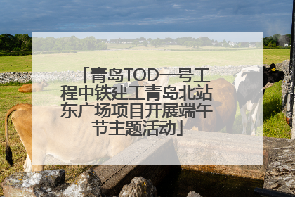 青岛TOD一号工程中铁建工青岛北站东广场项目开展端午节主题活动