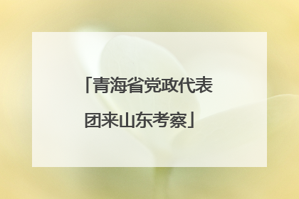 青海省党政代表团来山东考察
