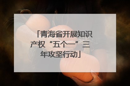 青海省开展知识产权“五个一”三年攻坚行动
