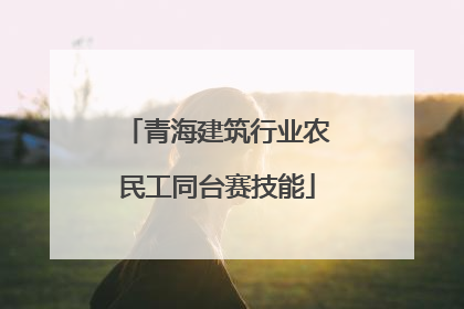 青海建筑行业农民工同台赛技能