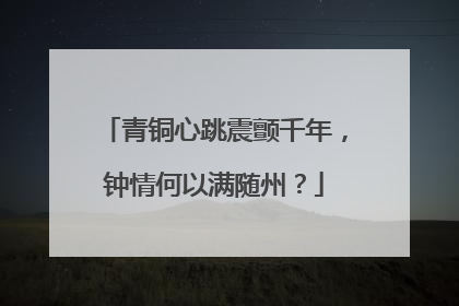 青铜心跳震颤千年，钟情何以满随州？