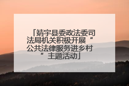 靖宇县委政法委司法局机关积极开展“公共法律服务进乡村”主题活动