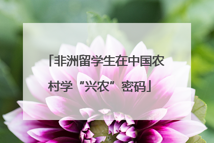 非洲留学生在中国农村学“兴农”密码