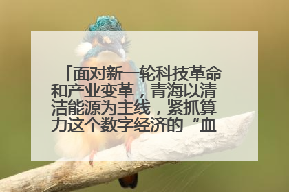 面对新一轮科技革命和产业变革,青海以清洁能源为主线,紧抓算力这个数字经济的“血液”、科技主权的“筹码”、产业升级的“杠杆”、绿色转型的“支点”,勇于撬动国家“双碳”战略、“东数西算”工程重大发展新机遇,点亮绿色算电协同新赛道,蹚出一条符合本地实际的高质量发展之路——青海:“绿色算力” 锚定“东数西算”国家战略布局