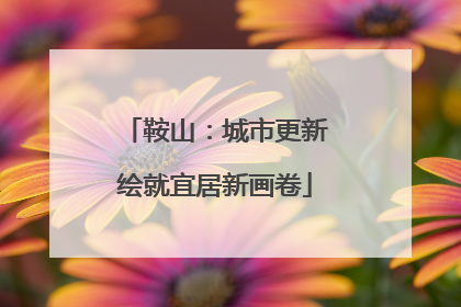 鞍山：城市更新绘就宜居新画卷