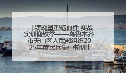 铸魂塑型砺血性 实战实训锻铁拳——乌鲁木齐市天山区人武部组织2025年度民兵集中轮训