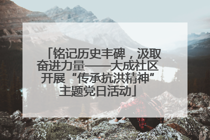 铭记历史丰碑，汲取奋进力量——大成社区开展“传承抗洪精神”主题党日活动
